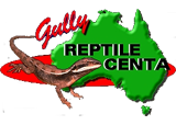 Gully Reptile Centa